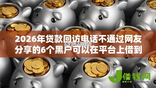 2026年贷款回访电话不通过网友分享的6个黑户可以在平台上借到钱我觉得不错！