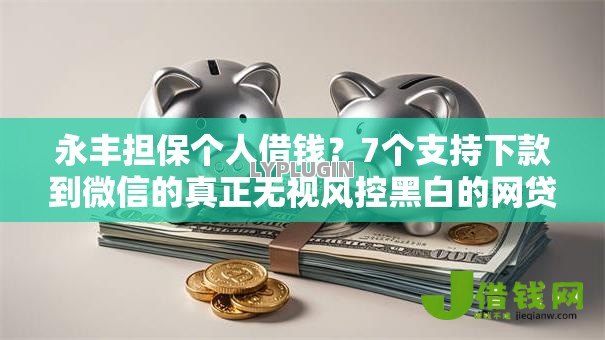 永丰担保个人借钱？7个支持下款到微信的真正无视风控黑白的网贷口子
