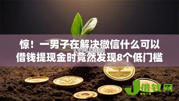 惊!一男子在解决微信什么可以借钱提现金时竟然发现8个低门槛不查征信的app,事后分享了出来 惊!一男子在解决微信什么可以借钱提现金时竟然发现8个低门槛不查征信的app,事后分享了出来