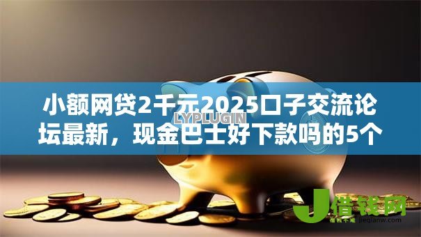 小额网贷2千元2025口子交流论坛最新，现金巴士好下款吗的5个平台介绍