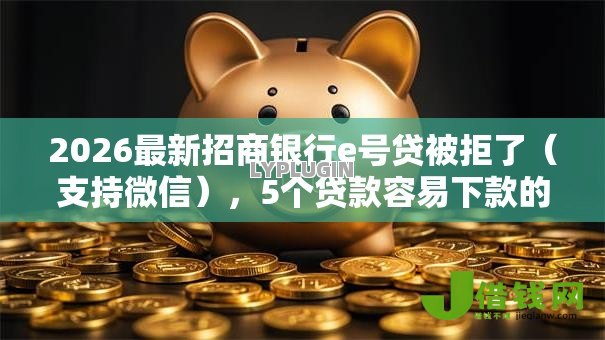 2026最新招商银行e号贷被拒了（支持微信），5个贷款容易下款的平台无私分享