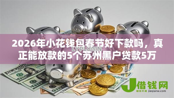 2026年小花钱包春节好下款吗，真正能放款的5个苏州黑户贷款5万的软件推荐