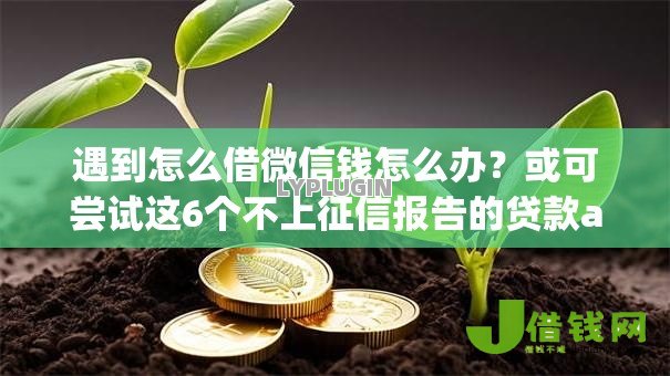 遇到怎么借微信钱怎么办？或可尝试这6个不上征信报告的贷款app