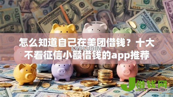 怎么知道自己在美团借钱?十大不看征信小额借钱的app推荐 怎么知道自己在美团借钱?十大不看征信小额借钱的app推荐