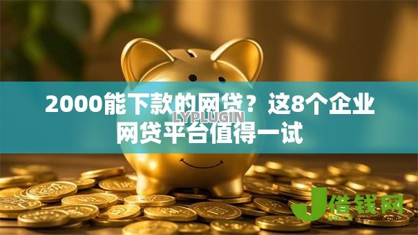 2000能下款的网贷？这8个企业网贷平台值得一试