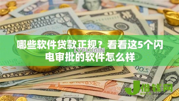 哪些软件贷款正规？看看这5个闪电审批的软件怎么样