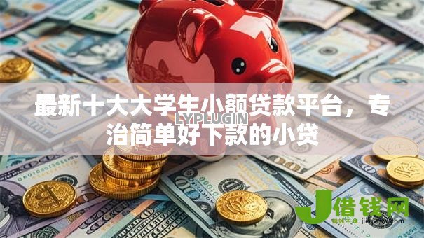 最新十大大学生小额贷款平台，专治简单好下款的小贷