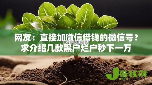 网友:直接加微信借钱的微信号?求介绍几款黑户烂户秒下一万 网友:直接加微信借钱的微信号?求介绍几款黑户烂户秒下一万
