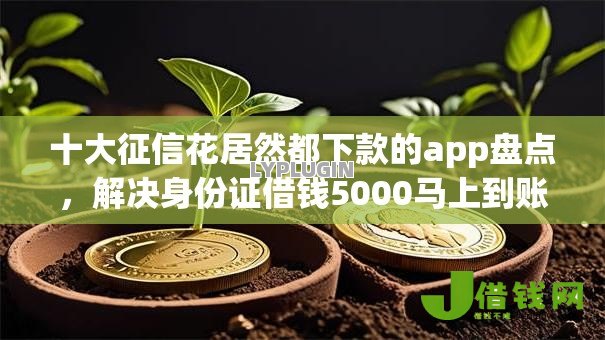 十大征信花居然都下款的app盘点，解决身份证借钱5000马上到账马上能到账吗的问题
