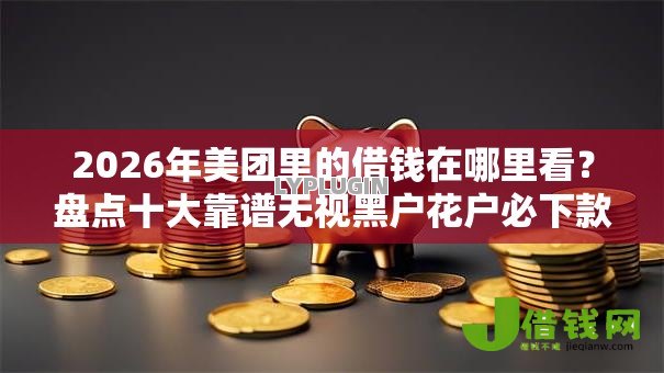 2026年美团里的借钱在哪里看？盘点十大靠谱无视黑户花户必下款口子