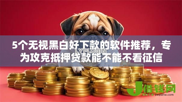 5个无视黑白好下款的软件推荐，专为攻克抵押贷款能不能不看征信难题