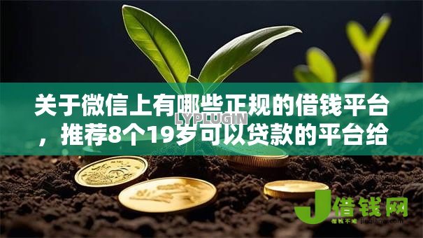 关于微信上有哪些正规的借钱平台,推荐8个19岁可以贷款的平台给你 关于微信上有哪些正规的借钱平台,推荐8个19岁可以贷款的平台给你