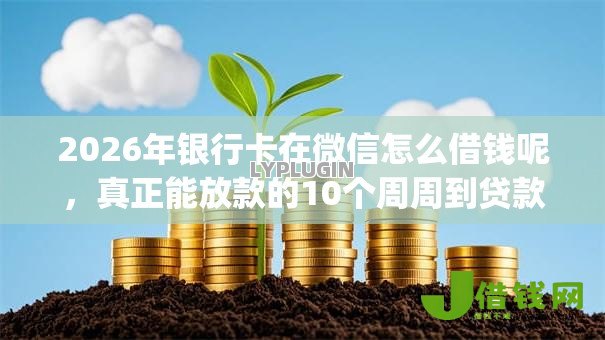 2026年银行卡在微信怎么借钱呢，真正能放款的10个周周到贷款相同系列的app推荐