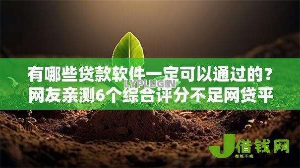 有哪些贷款软件一定可以通过的？网友亲测6个综合评分不足网贷平台可以借款盘点
