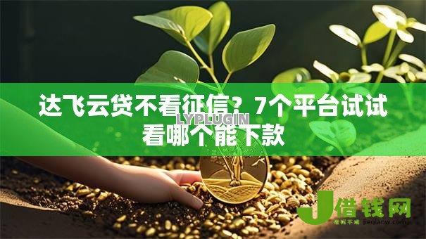 达飞云贷不看征信？7个平台试试看哪个能下款