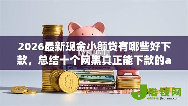2026最新现金小额贷有哪些好下款，总结十个网黑真正能下款的app！