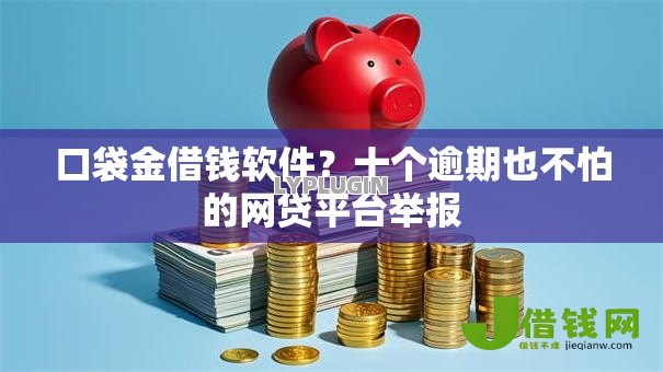 口袋金借钱软件？十个逾期也不怕的网贷平台举报