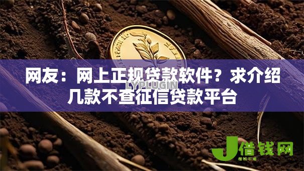 网友：网上正规贷款软件？求介绍几款不查征信贷款平台