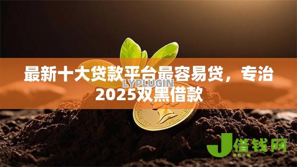 最新十大贷款平台最容易贷，专治2025双黑借款
