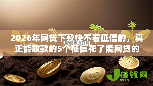 2026年网贷下款快不看征信的,真正能放款的5个征信花了能网贷的口子推荐 2026年网贷下款快不看征信的,真正能放款的5个征信花了能网贷的口子推荐