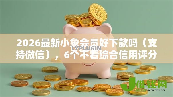 2026最新小象会员好下款吗（支持微信），6个不看综合信用评分能下款的软件无私分享