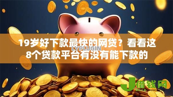 19岁好下款最快的网贷？看看这8个贷款平台有没有能下款的