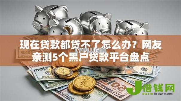 现在贷款都贷不了怎么办？网友亲测5个黑户贷款平台盘点