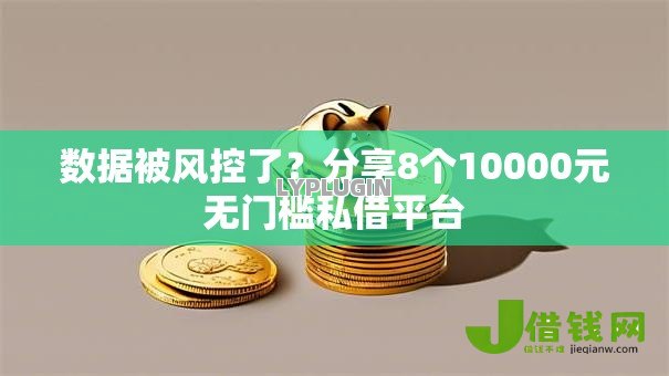 数据被风控了？分享8个10000元无门槛私借平台