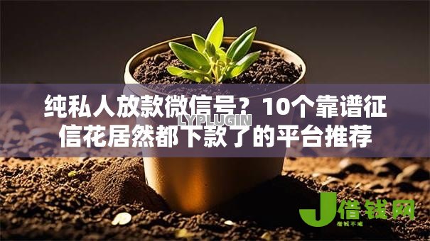纯私人放款微信号？10个靠谱征信花居然都下款了的平台推荐