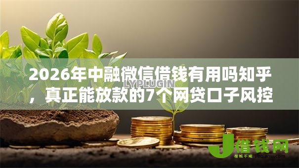 2026年中融微信借钱有用吗知乎，真正能放款的7个网贷口子风控不严的软件推荐