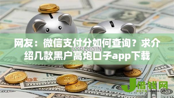 网友：微信支付分如何查询？求介绍几款黑户高炮口子app下载