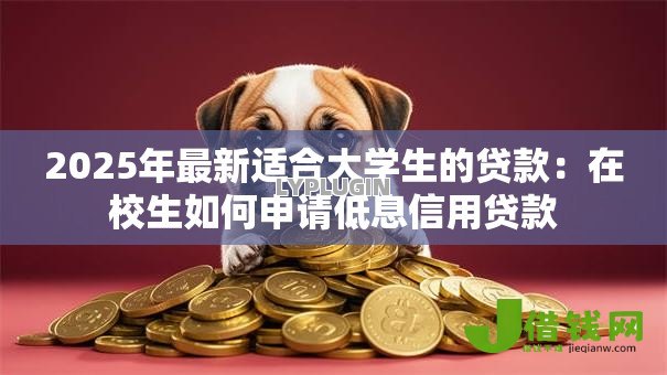 2025年最新适合大学生的贷款:在校生如何申请低息信用贷款 2025年最新适合大学生的贷款:在校生如何申请低息信用贷款