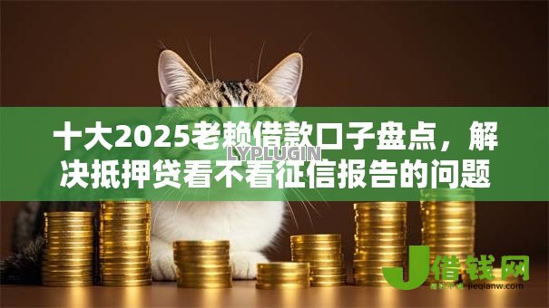 十大2025老赖借款口子盘点，解决抵押贷看不看征信报告的问题