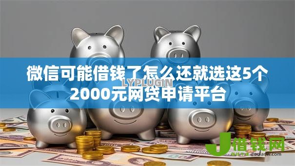 微信可能借钱了怎么还就选这5个2000元网贷申请平台