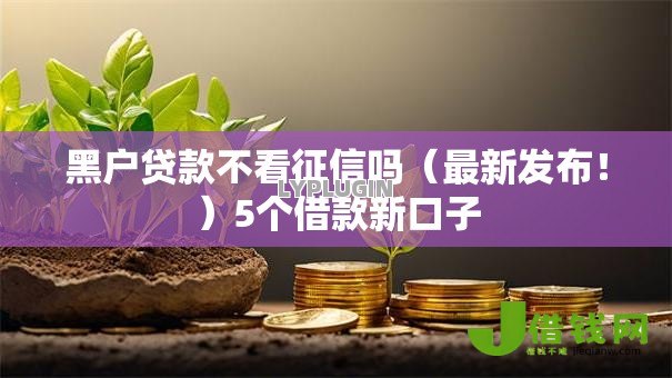 黑户贷款不看征信吗（最新发布！）5个借款新口子