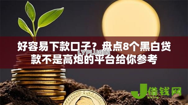 好容易下款口子？盘点8个黑白贷款不是高炮的平台给你参考