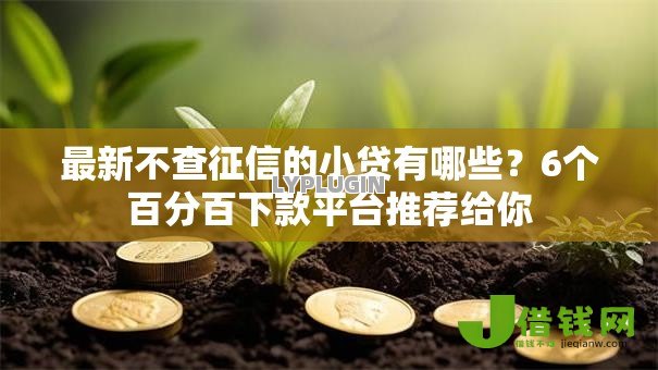 最新不查征信的小贷有哪些？6个百分百下款平台推荐给你