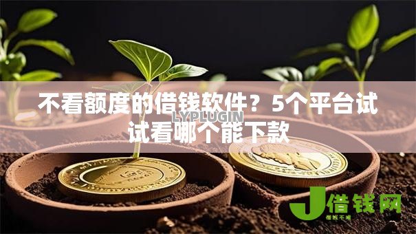 不看额度的借钱软件？5个平台试试看哪个能下款