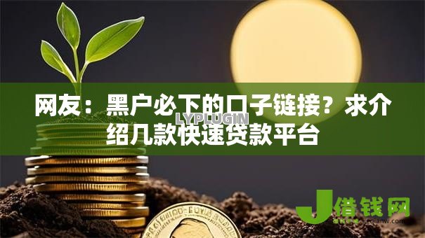 网友：黑户必下的口子链接？求介绍几款快速贷款平台