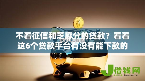 不看征信和芝麻分的贷款？看看这6个贷款平台有没有能下款的