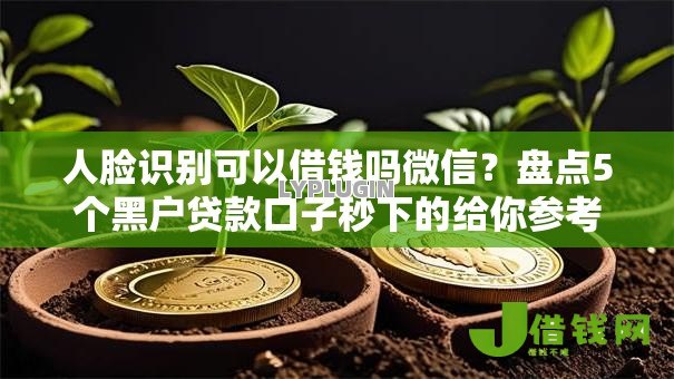 人脸识别可以借钱吗微信?盘点5个黑户贷款口子秒下的给你参考 人脸识别可以借钱吗微信?盘点5个黑户贷款口子秒下的给你参考