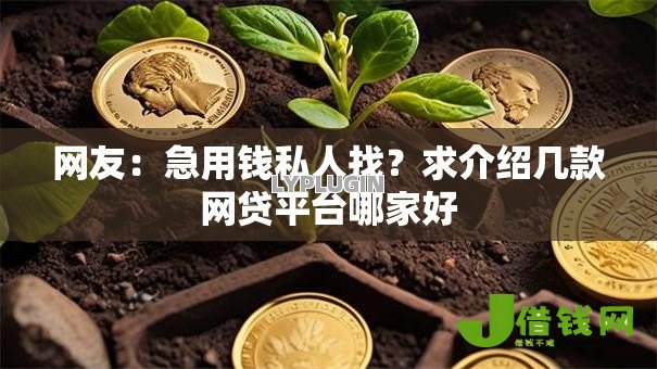 网友:急用钱私人找?求介绍几款网贷平台哪家好 网友:急用钱私人找?求介绍几款网贷平台哪家好