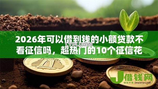 2026年可以借到钱的小额贷款不看征信吗,超热门的10个征信花了容易通过的平台借款推荐 2026年可以借到钱的小额贷款不看征信吗,超热门的10个征信花了容易通过的平台借款推荐