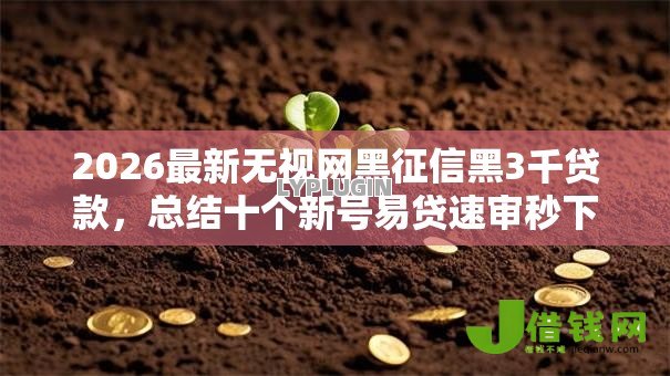 2026最新无视网黑征信黑3千贷款，总结十个新号易贷速审秒下款口子！
