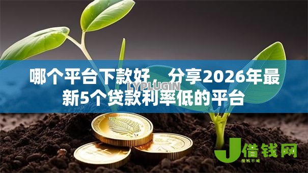 哪个平台下款好，分享2026年最新5个贷款利率低的平台