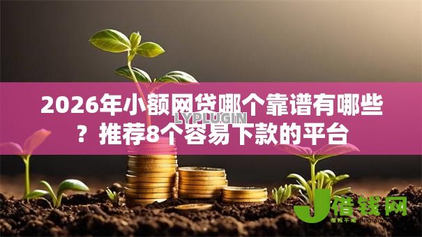 2026年小额网贷哪个靠谱有哪些？推荐8个容易下款的平台