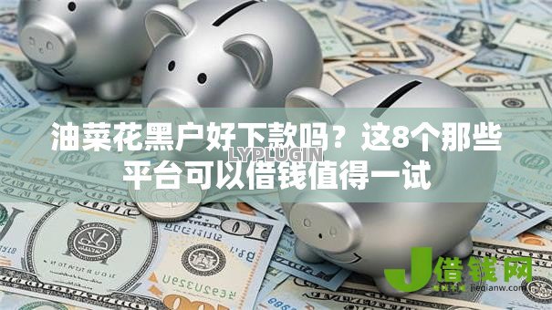 油菜花黑户好下款吗？这8个那些平台可以借钱值得一试