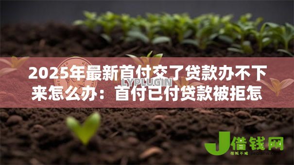2025年最新首付交了贷款办不下来怎么办：首付已付贷款被拒怎么办