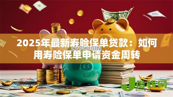 2025年最新寿险保单贷款：如何用寿险保单申请资金周转