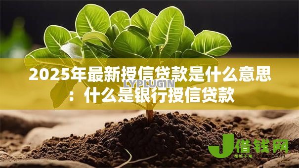 2025年最新授信贷款是什么意思:什么是银行授信贷款 2025年最新授信贷款是什么意思:什么是银行授信贷款